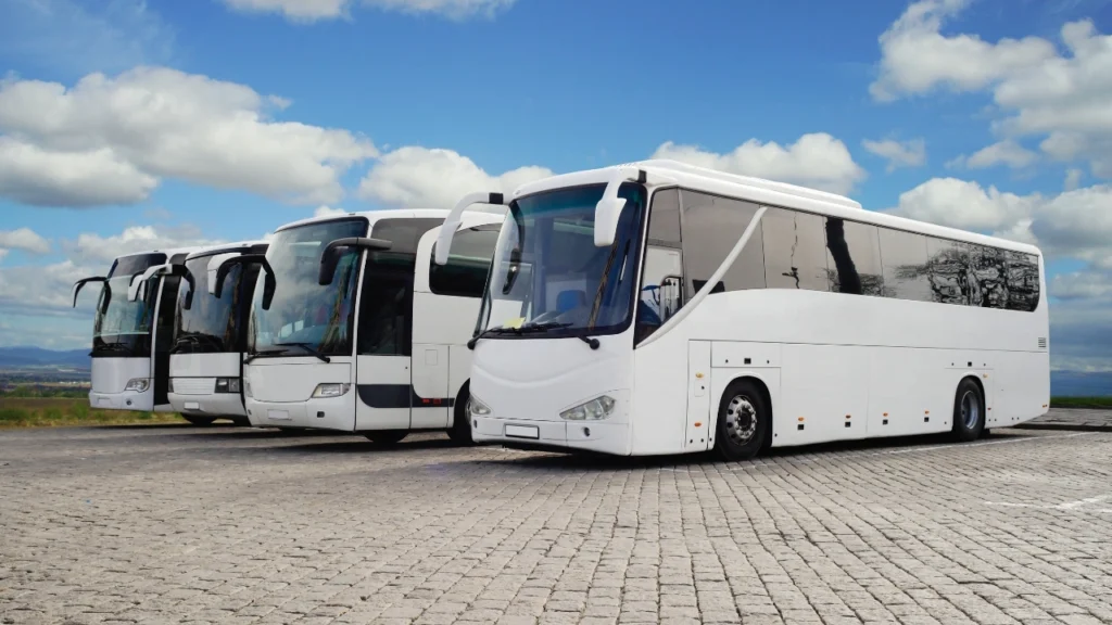 Bus