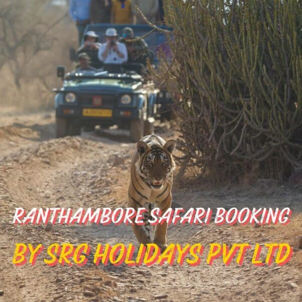 Ranthambore Tiger Safari