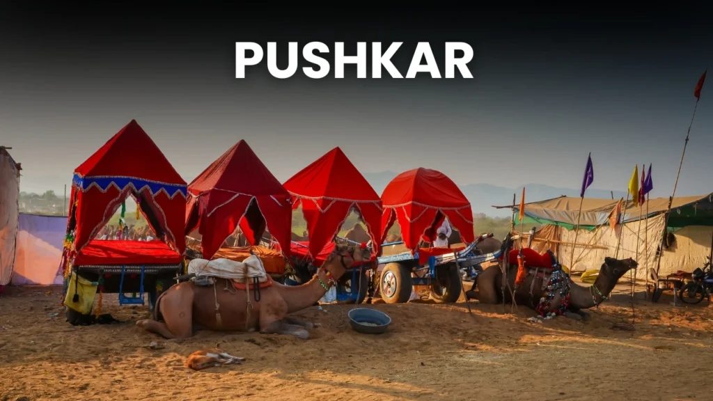 pushkar