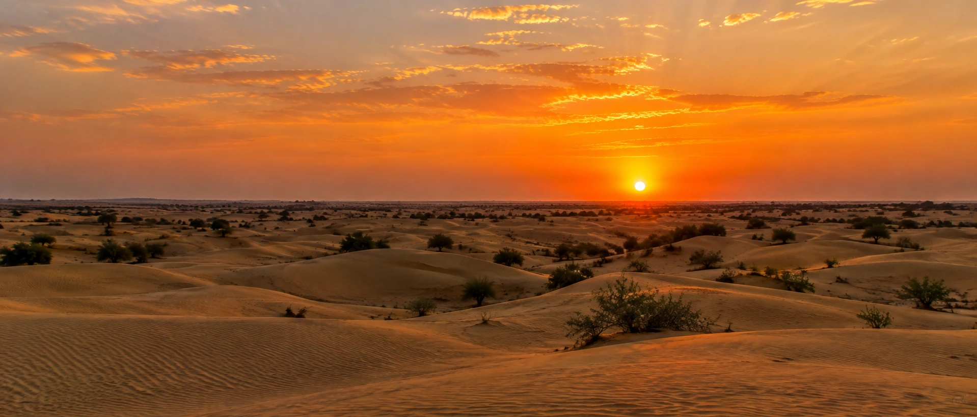 Desert Sunset
